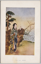 田家の早梅　 / Denka no Hayaume image