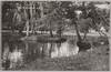 大田原中学校　和楽池/Waraku Pond, Ōtawara Junior High School image