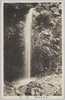 (高尾山名勝)蛇滝/(Scenic Beauties of Mt. Takao) Jataki Waterfall image