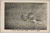老婆地上に拝伏して赤誠泣て聖上の御平癒を祈る/Elderly Woman Prostrating and Praying in Earnest for the Emperor's Recovery image