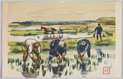 郵便貯金五十億円突破記念 水田 / Commemoration of the Milestone of 5 Billion Yen in Postal Savings, Paddy Field image