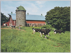 札幌　宇都宮牧場 / Utsunomiya Farm in Sapporo image