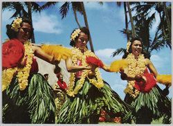 Hawaiian　Hula　Dancer　 / Hawaiian Hula Dancers image