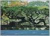 栗林公園 / Ritsurin Garden image