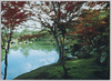 栗林公園　紅葉の南湖畔/Ritsurin Garden, Fall Leaves by the South Lake image