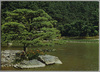 栗林公園　涵翠池・蘇鉄の岡/Ritsurin Garden, Kansui Pond and Cycad Hill image