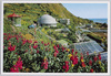 房総半島　フラワーパーク/Bōsō Peninsula, Flower Park image