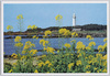 野島埼灯台/Nojimazaki Lighthouse image