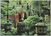 春日大社回廊/Corridor in the Kasugataisha Shrine image