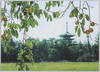 奈良　秋の西の京/Nara, Nishinokyō Area in the Fall image