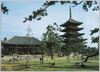 興福寺五重塔と金堂/Kōfukuji Temple's 5-Story Pagoda and Main Hall (Kondō)  image