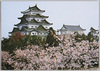 名古屋城　春の城/Castle in Spring, Nagoya Castle image