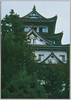秋の大垣城/Ōgaki Castle in the Fall image