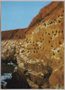 城ケ島　海鵜のコロニー/Colony of Temminck's Cormorant (Sea Birds), Jōgashima Island image