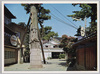 粟津温泉街の一部/Awazu Hot Spa Town image