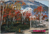 川湯硫黄山　絵葉書　袋/Envelope for Picture Postcards of Mt. Iō in Kawayu District image