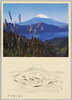 箱根大観山より富士山を望む/Mt. Fuji as Seen from Mt. Taikan in Hakone image