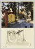 箱根　旧街道/Old Tokaidō Road, Hakone image