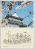 小田原城と桜/Odawara Castle and Cherry Blossoms image