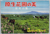 原生花園の美　国定公園　絵葉書　袋/Envelope for Picture Postcards of Koshimizu Genseikaen Wildflower Field in Abashiri Quasi-National Park image