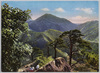 立石寺　釈迦ケ峰老松の間より連山を眺む/Mountain Range as Seen from Mt. Shakagamine, Risshakuji Temple   image