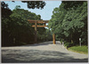 明治神宮　大鳥居/Meijijingū Shrine, Ōtorii Gate image