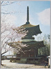 岡崎　大樹寺(多宝塔)/Daijuji Temple (Tahōtō Pagoda), Okazaki image