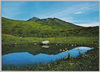 鳥海山　鳥の海より見る新山/Mt. Shinn as Seen from Lake Torinoumi, Mt. Chōkai image