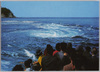 鳴門海峡　次々と巻く渦を観潮船より見る/Vortex as Seen from a Sightseeing Boat, Naruto Strait image