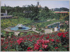 極楽園　よみうりランド/Paradise, Yomiuriland Amusement Park image