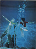 竜宮城(水中バレー)　よみうりランド/Ryūgūjō Pool (Underwater Ballet), Yomiuriland Amusement Park image