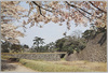 西桔橋/Nishihanebashi Bridge image