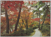 秋の神苑　讃岐金刀比羅宮/Shrine Garden in the Fall, Kotohiragū Shrine in Sanuki image