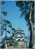 彦根城西の丸より天守閣/Main Keep as Seen from Nishinomaru Section, Hikone Castle image