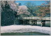 彦根城内濠表門橋/Inner Moat and Omotemonbashi Bridge, Hikone Castle image