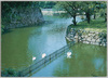 彦根城内濠/Inside Moat, Hikone Castle image