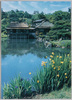 彦根城　玄宮園より天守閣を望む/Main Keep as Seen from Genkyūen Garden, Hikone Castle,  image