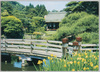 彦根城　玄宮園より楽々園/Rakurakuen Garden as Seen from Genkyūen Garden, Hikone Castle,  image