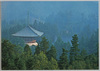 杉木立にうかぶ大塔と金堂　高野山/Daitō Tower and Kondō Hall, Mt. Kōya image