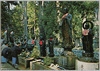 水向け地蔵　高野山/Mizumukejizō Statues, Mt. Kōya image