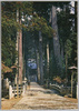 御廟橋より灯籠堂を望む　高野山/Tōrōdō Hall as Seen from Gobyōbashi Bridge, Mt. Kōya image