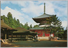 大塔と御影堂　高野山/Daitō Tower and Mieidō Hall, Mt. Kōya image