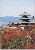 清水寺/Kiyomizudera Temple image