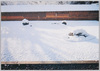 竜安寺石庭/Ryōanji Temple Rock Garden image