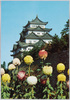 菊かおる名古屋城/Nagoya Castle and Chrysanthemums image