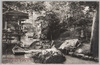 厳島神社紅葉谷公園/Itsukushima Shrine: Momijidani Park image