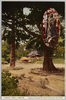 清澄寺と日蓮聖人像/Kiyozumidera Temple and Statue of Holy Priest Nichiren image