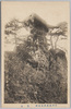 笠岩/Kasaiwa Rock image