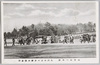 先帝御一年祭　文武白官の多摩御陵参拝/The 1st Anniversary of Late Emperor, Civil and Military Officials Visit Tamagoryō (Tama Imperial Mausoleum) image