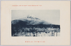 富士八湖絵葉書 / Picture Postcards of Fuji Eight Lakes image